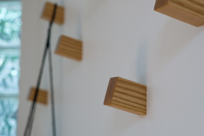 5 hooks on a wall spread in an organic pattern.