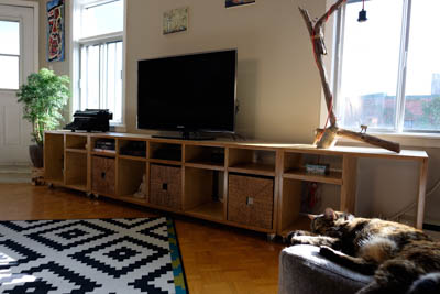 The living room with its new TV stand and a cat sleeping nearby.